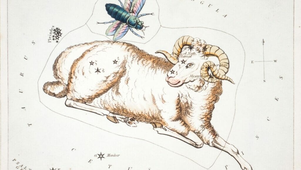 Facts About Aries