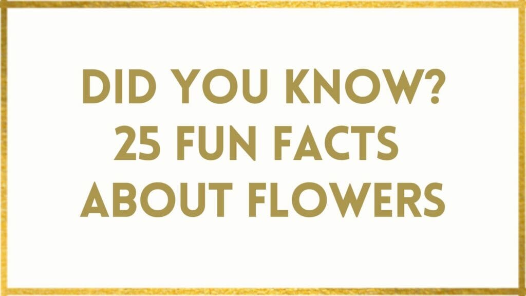 Flower facts
