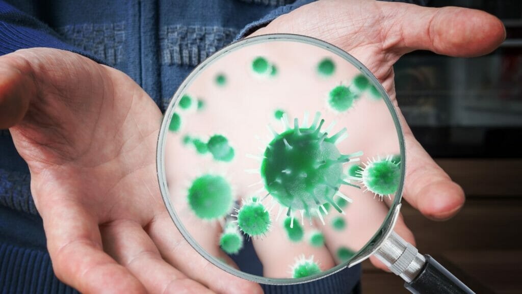 Facts About Germs