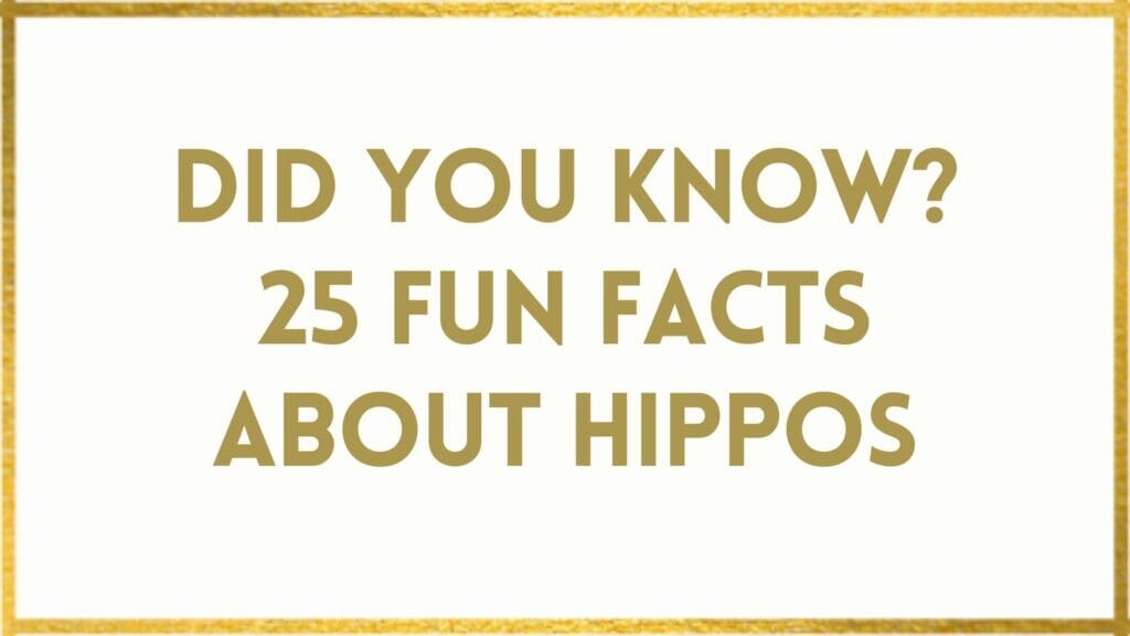 facts about hippos