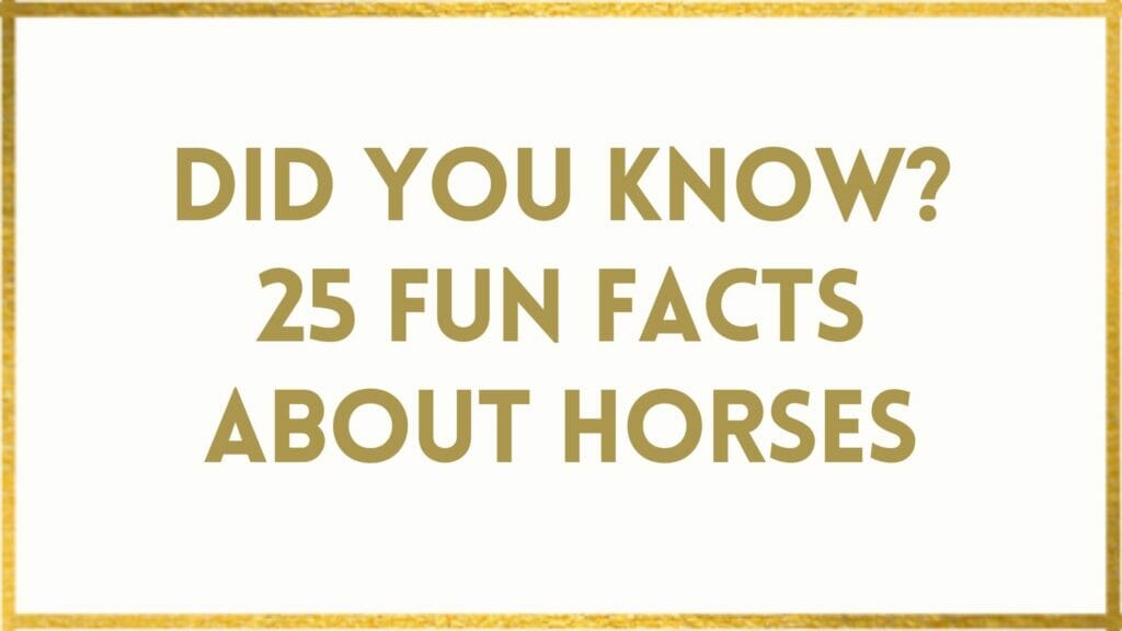 facts about horses