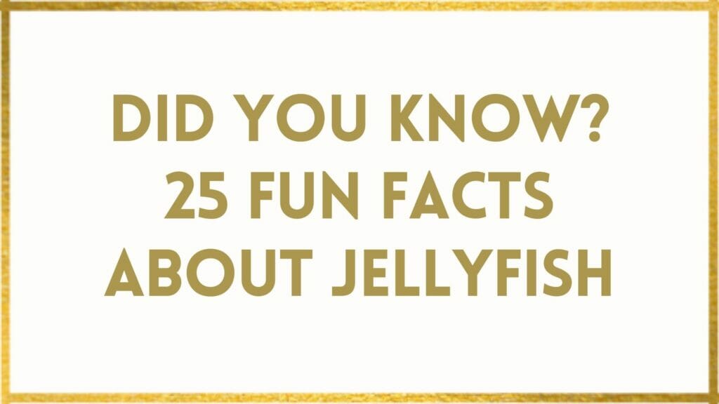 facts about jellyfish