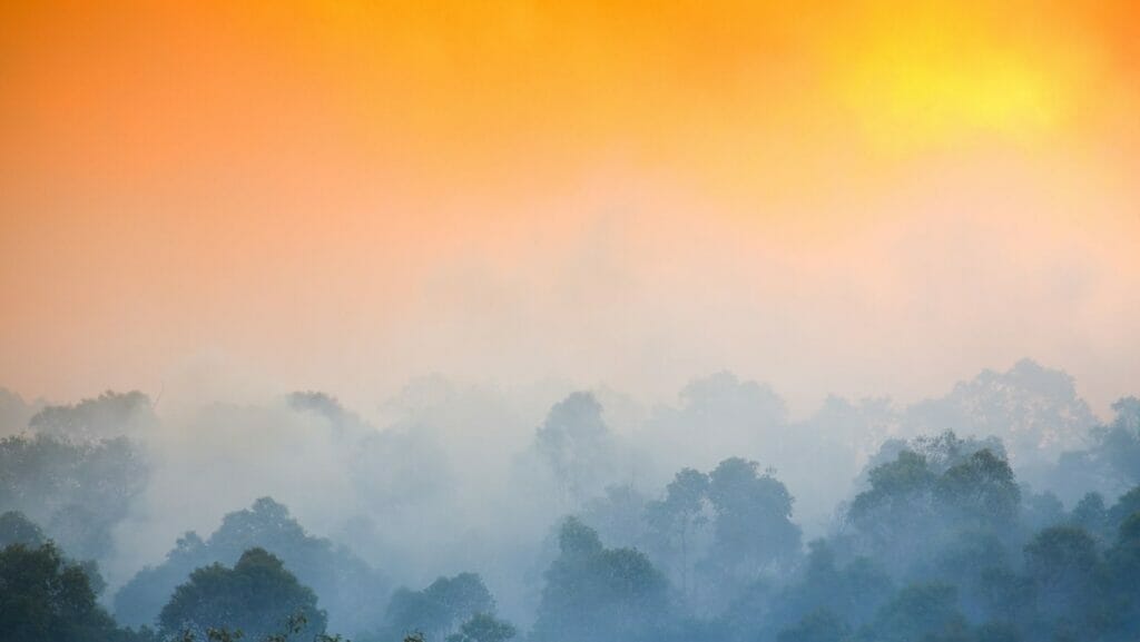 Facts About bushfires