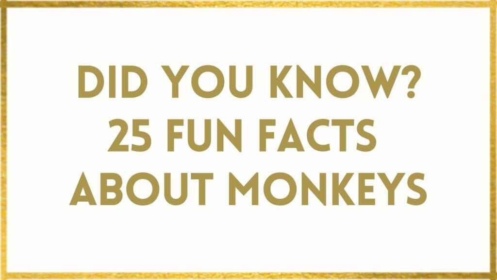 facts about monkeys
