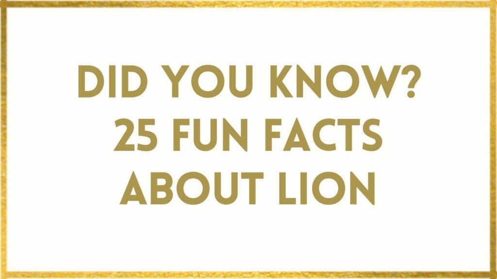 facts about lions