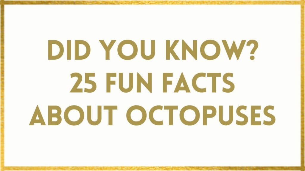 facts about octopuses