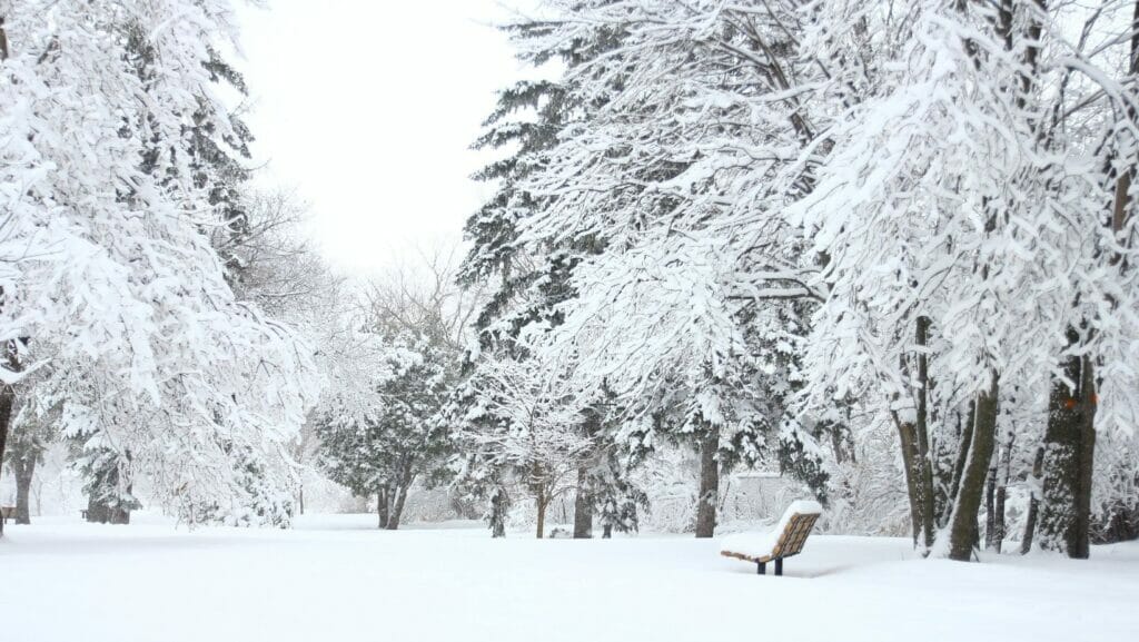 Facts about Snow