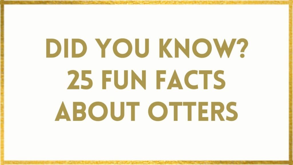 facts about otters