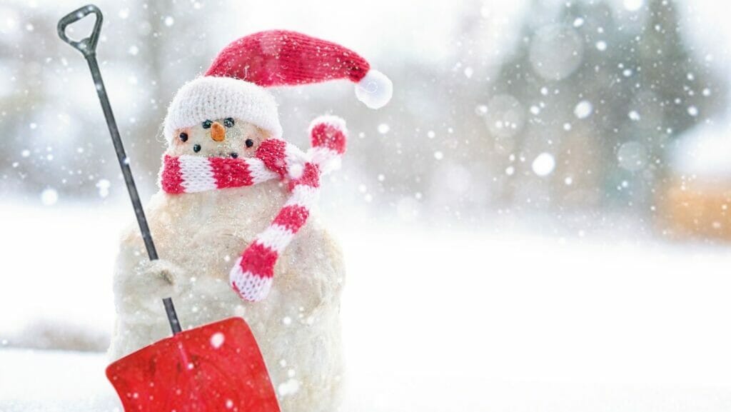 Facts about Snow