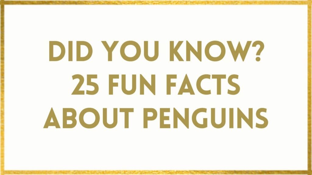 facts about penguins