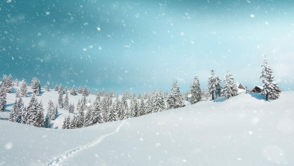 Facts about Snow