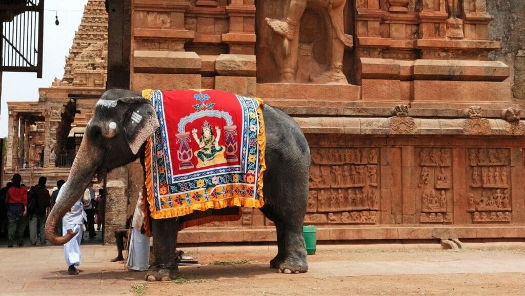 facts about India