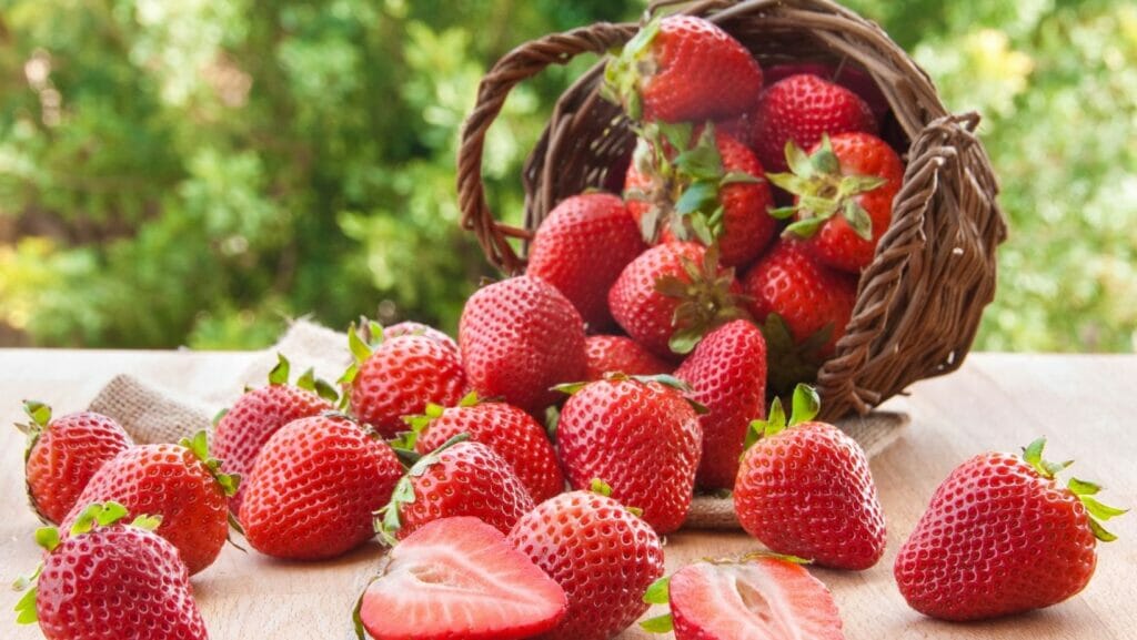 Facts about Strawberries