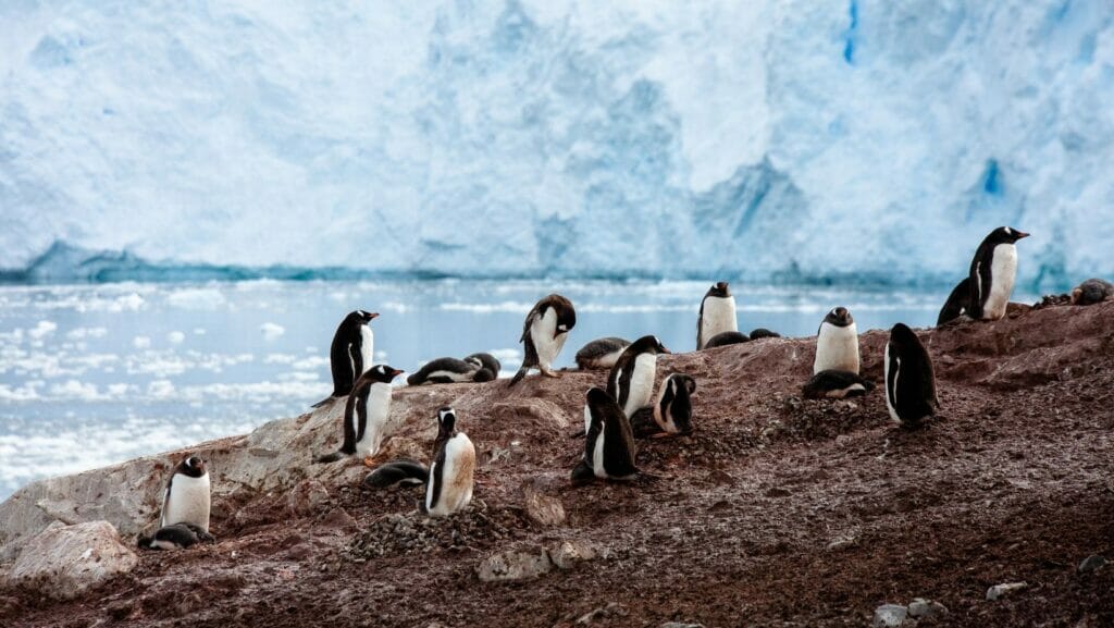 facts about Antarctica