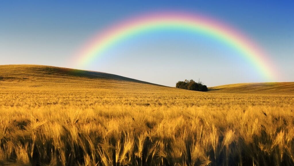 Facts About Rainbows