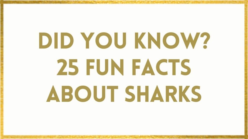 facts about sharks