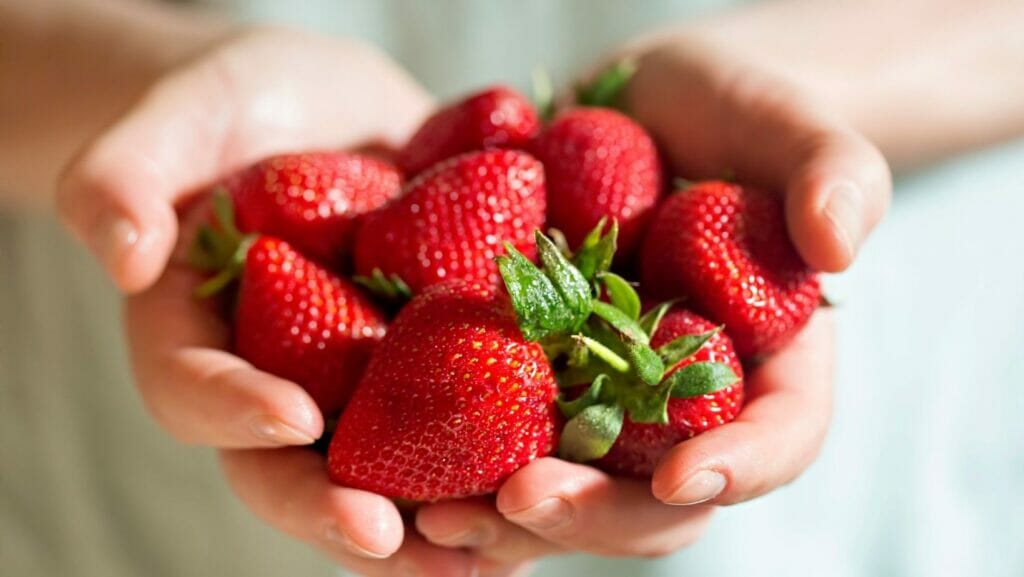 Facts about Strawberries