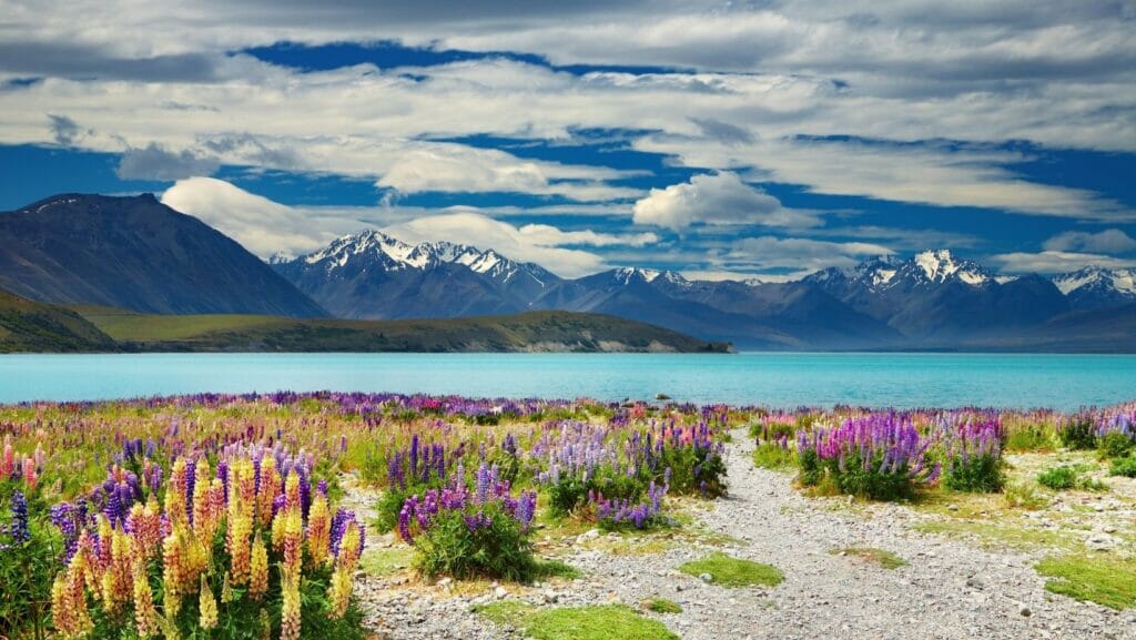facts about new zealand