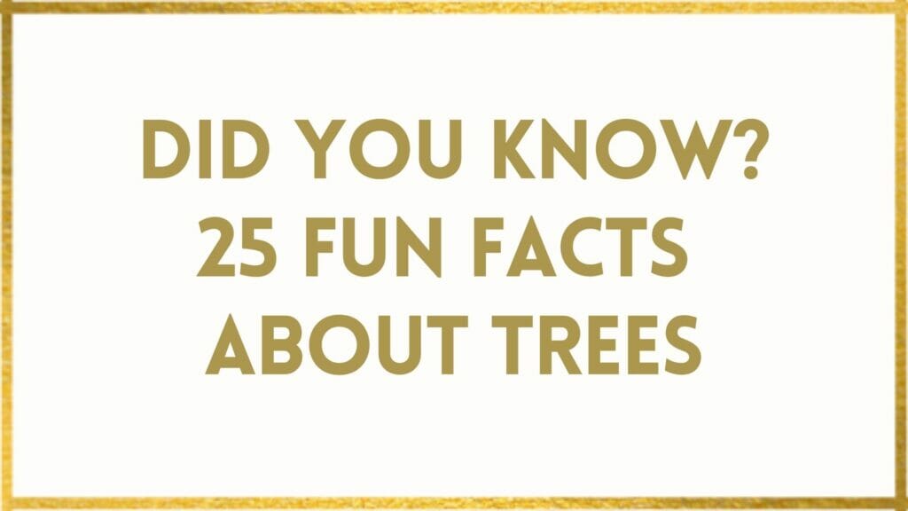 Facts About Trees