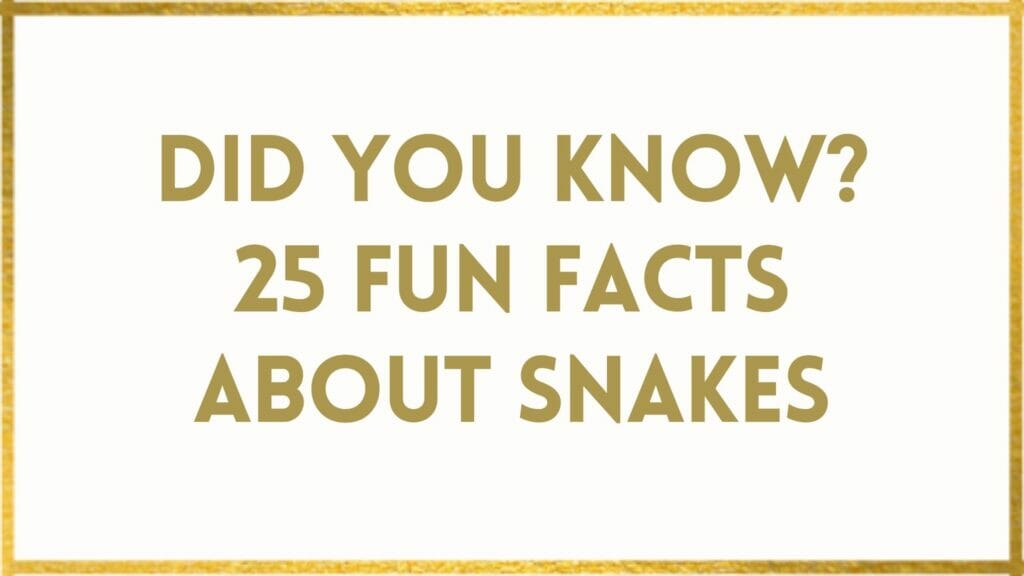 facts about snakes