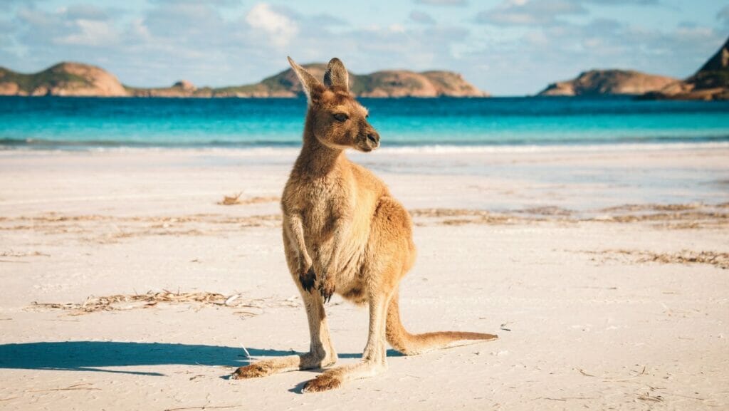 Facts About Australia