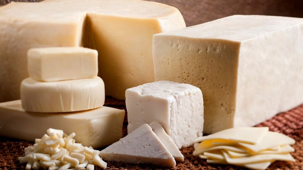 Facts About cheese