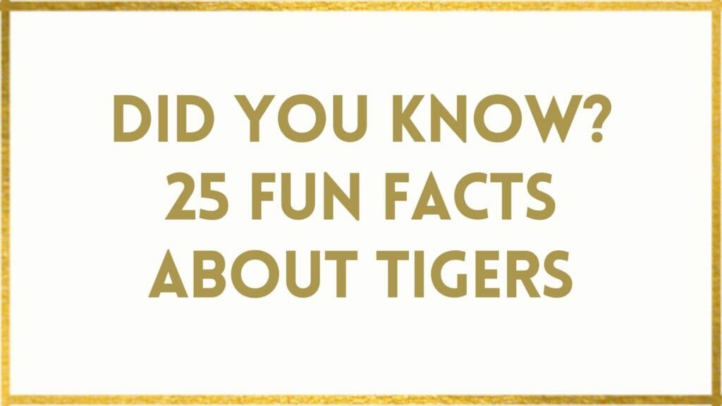 facts about tigers