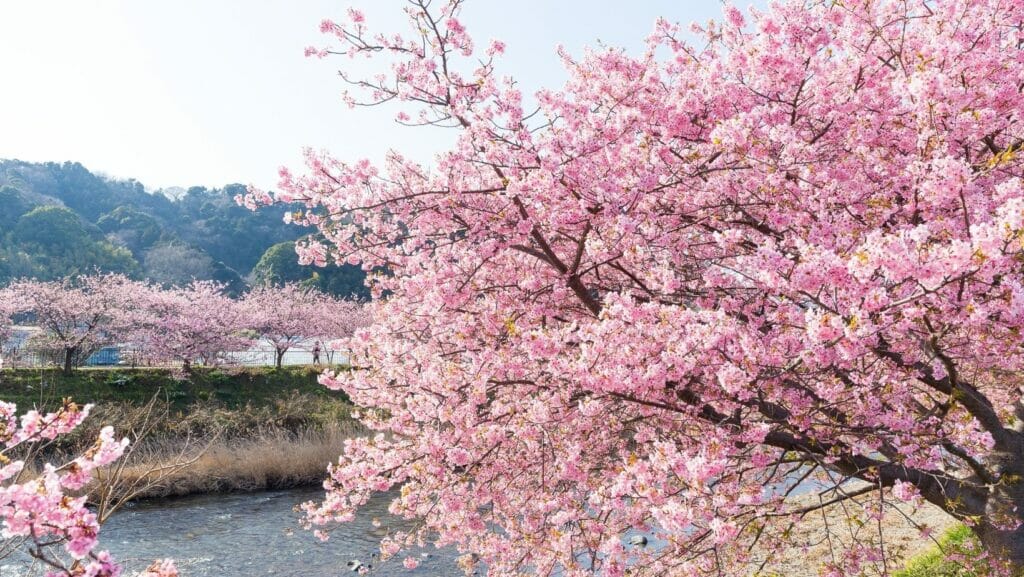 facts about japan