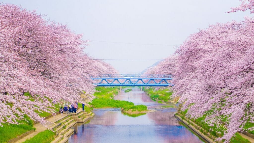facts about japan