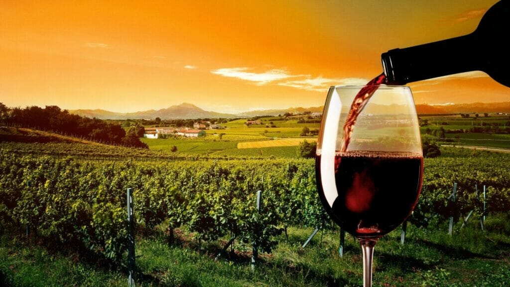 Facts About Wine