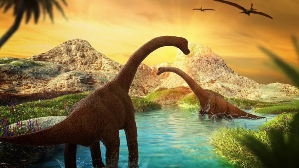 Facts About Dinosaurs