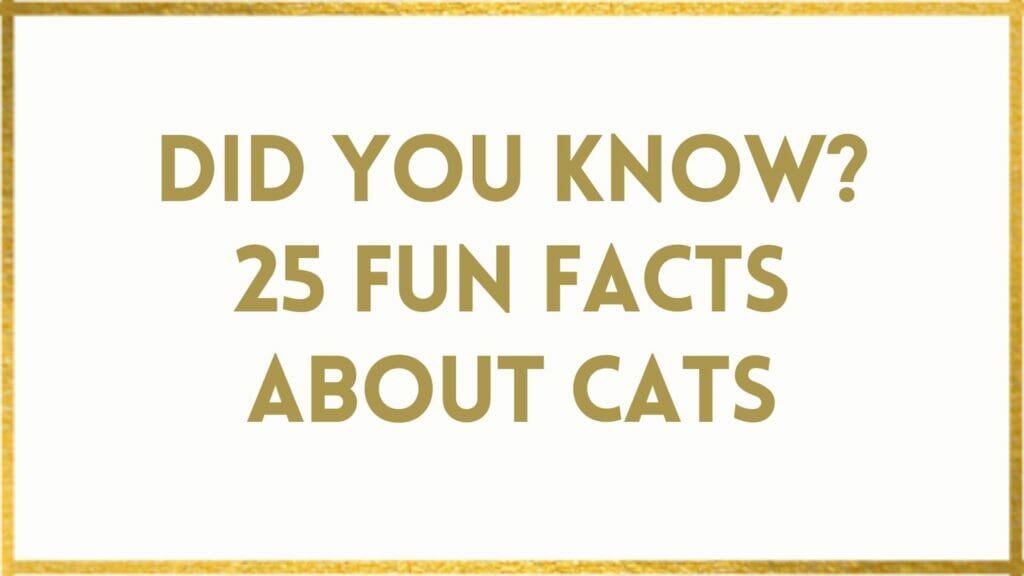 facts about cats