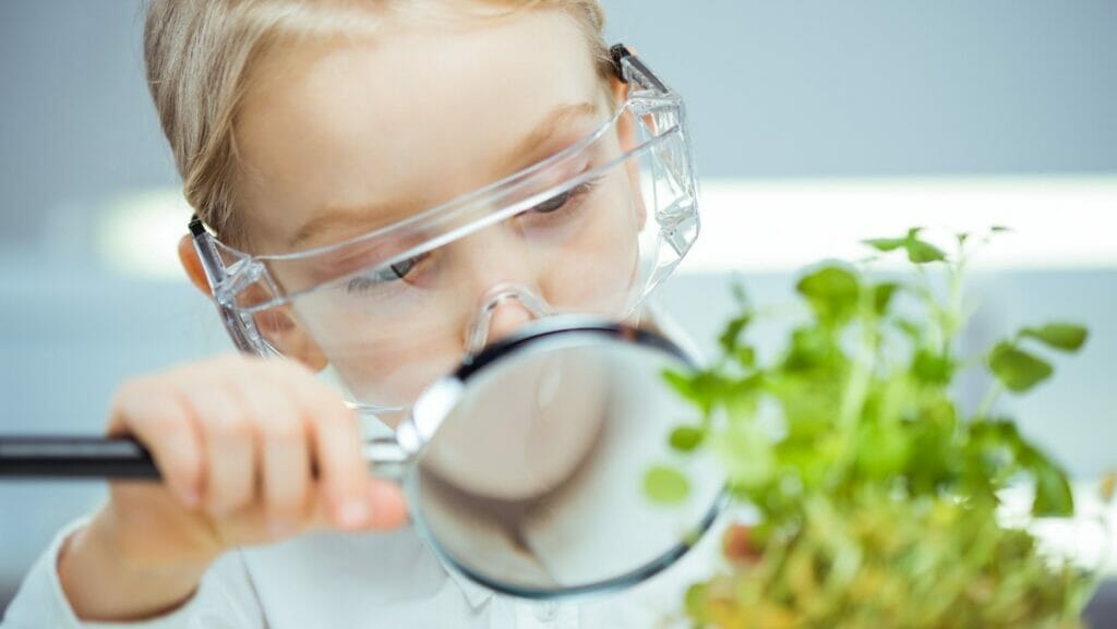 Facts About biology