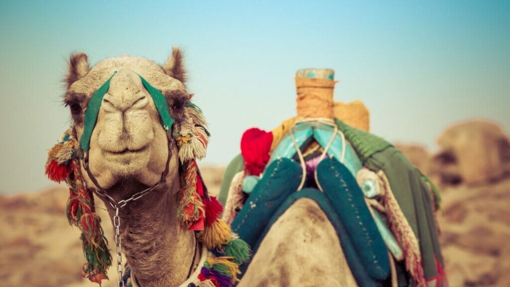 facts about Egypt