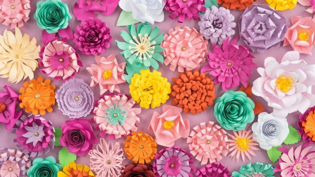 Facts About Flowers