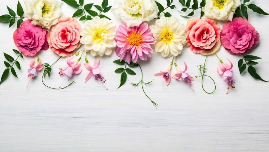 Facts About Flowers