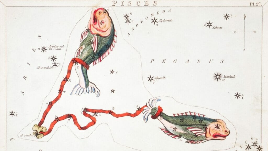 Facts About Pisces