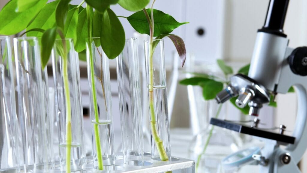 Facts About biology