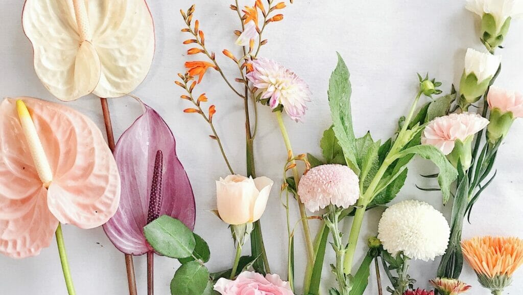 Flower facts