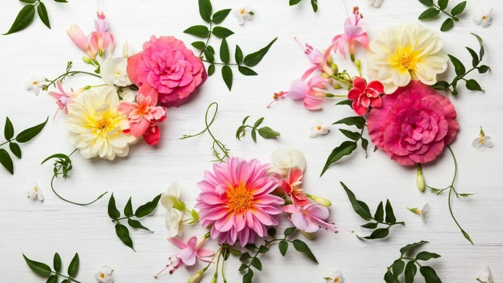 Flower facts
