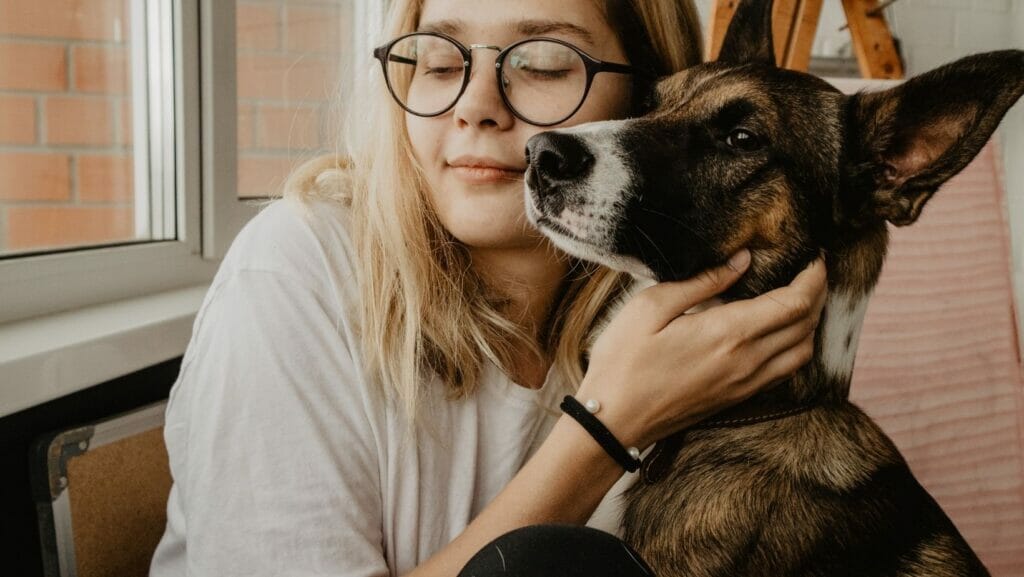 facts about dogs